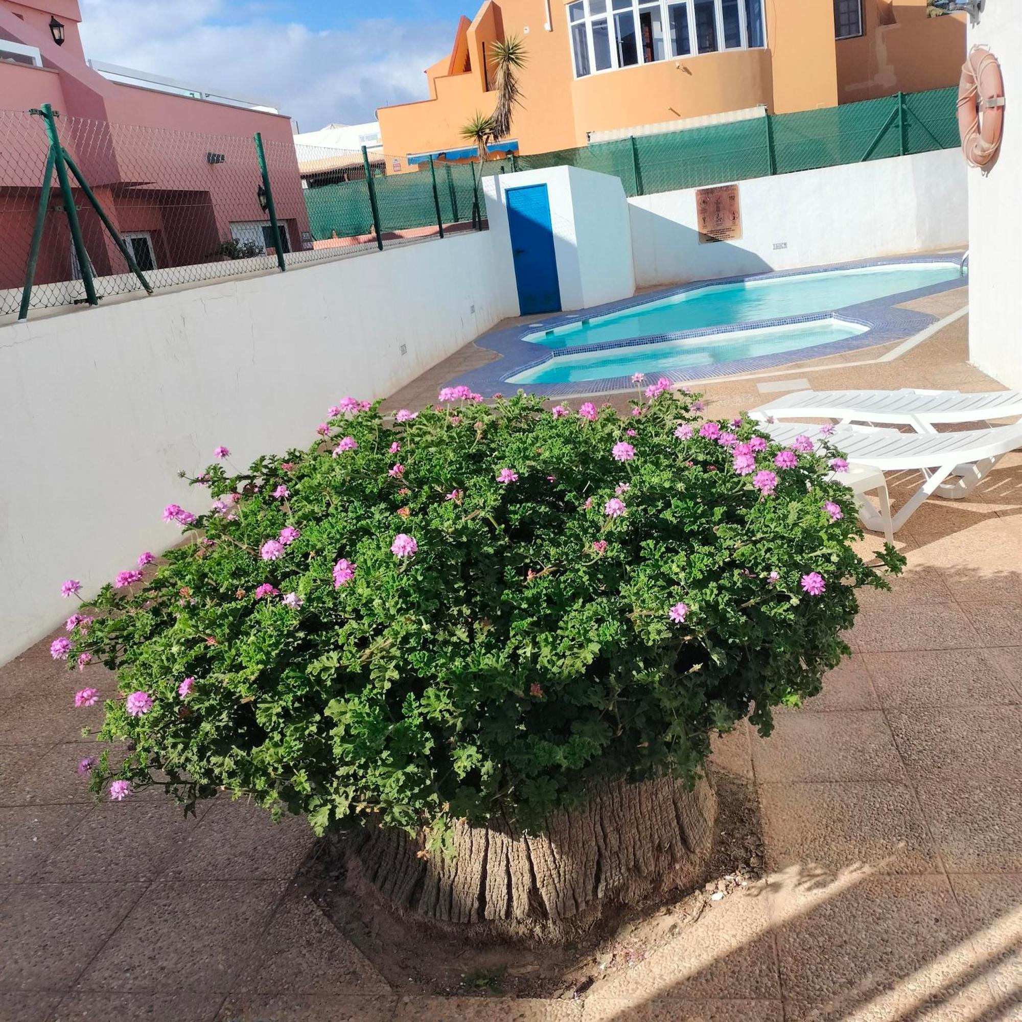 Vivienda Vacacional Alipatri Caleta De Fuste Esterno foto